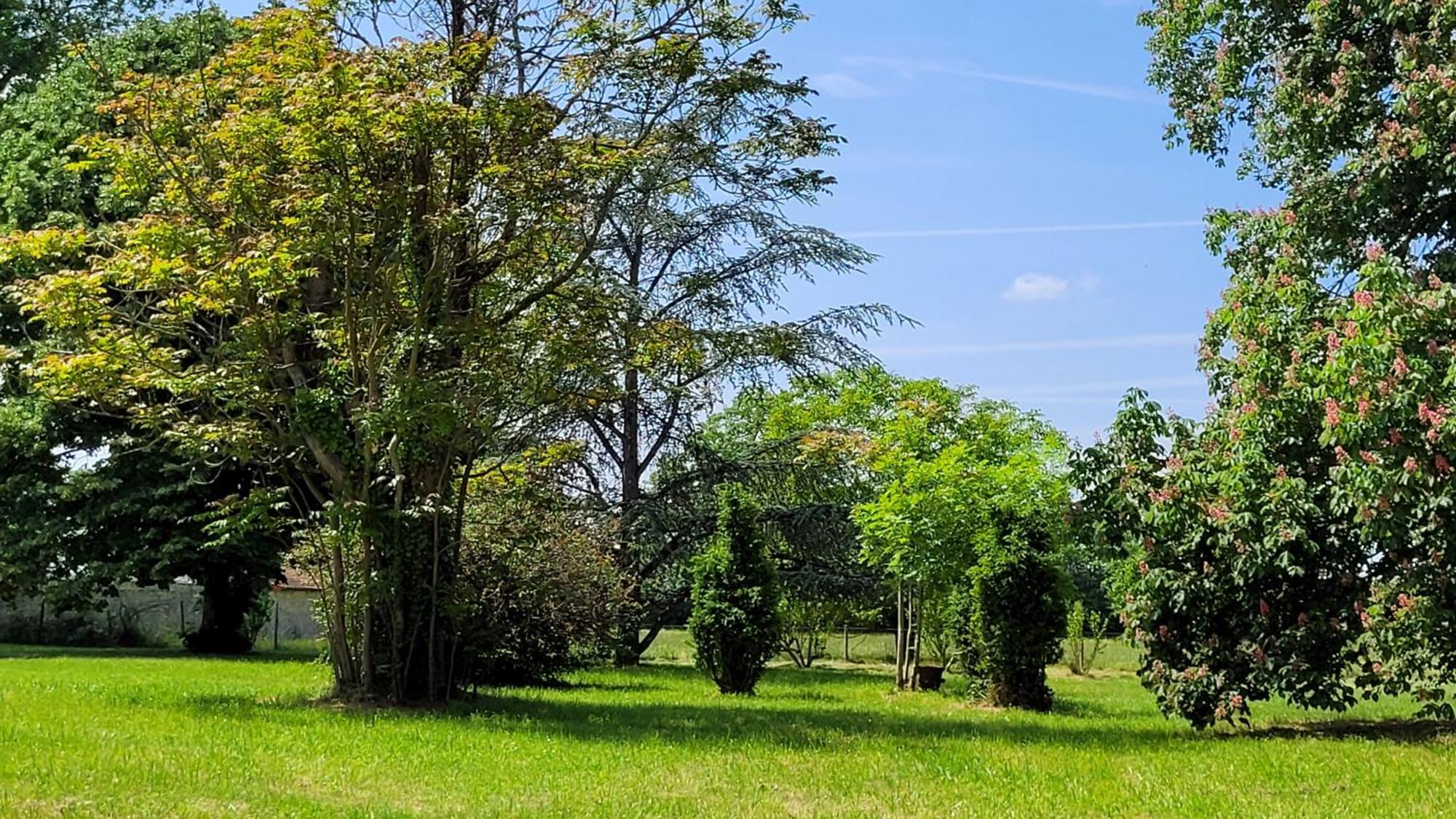 Villa Saint Pierre La Trimouille Zewnętrze zdjęcie